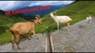 4K50 Kanzelwand Kleinwalsertal Wanderung 2020 [upl. by Hanzelin443]