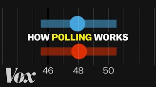 What polls can actually tell us [upl. by Yanehc]