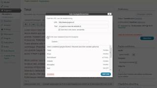 WordPress  Link toevoegen [upl. by Naxor36]