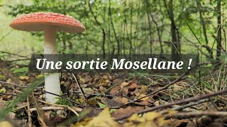 Une sortie Mosellane [upl. by Buyer827]