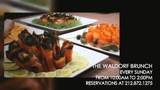 Sunday Brunch at the Waldorf Astoria New York [upl. by Farland]