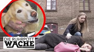 Hund unter MedikamentenEinfluss So reagieren Hunde auf Tilidin  Die Ruhrpottwache  SAT1 TV [upl. by Haiacim]