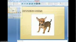 PowerPoint Удаление фона рисунка [upl. by Corley]