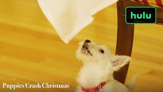 Puppies Crash Christmas  Now  Hulu [upl. by Clarkin]