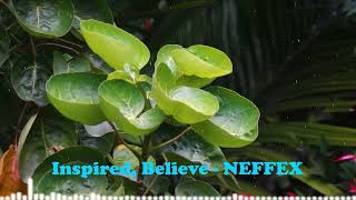 Inspired Believe  NEFFEX  Best new rock music [upl. by Aneert38]