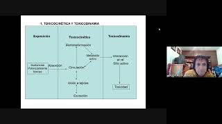 4 Principios de toxicología [upl. by Ona]