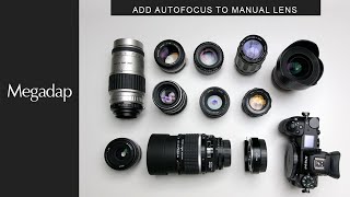 Megadap MTZ11  NikonZ6II  Add Autofocus to Manual Lens  Nikon 135 mm F2D  Pentax  Takumar [upl. by Nitsir]