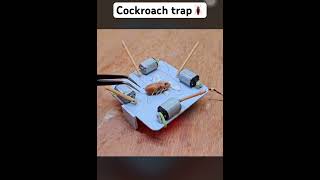 cockroach Trap 😂 new cockroach 2024 trap [upl. by Ayanaj]