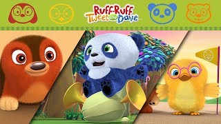 RuffRuff Tweet and Dave Compilation  A Singing Adventure AND MORE  Cartoons for Children [upl. by Lamaj]