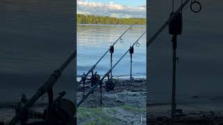 Alltag eines Angelinfluencers angeln fishing friedfisch carpfishing karpfen karpfenangeln [upl. by Lashonde]