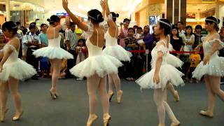 Ballerina Dancing  Jusco Perda Bukit MertajamPenang MOV [upl. by Leahcimaj]