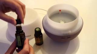 How to use a diffuser for your Essential Oils [upl. by Liagibba]