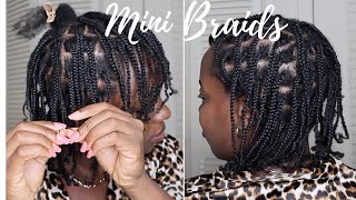 How To Easy Mini Braids On 4c Natural Hair Tutorial [upl. by Stephan]