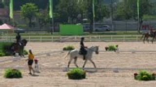 No risk of glanders at Olympic equestrian [upl. by Niwri]