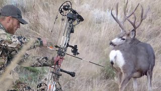 Bow Hunting Mule Deer｜Public Land Spot and Stalk with Dan Pickar [upl. by Venuti]