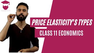 Price Elasticity’s Types in Nepali New Syllabus  Class 11  Economics [upl. by Amoihc]