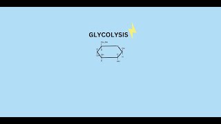 NCERT  GLYCOLYSIS 12 [upl. by Hsak]