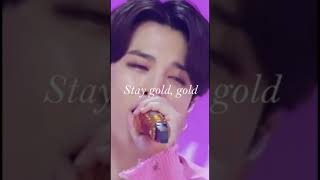 stay gold bts full screen with lyricsshort [upl. by Aylatan812]