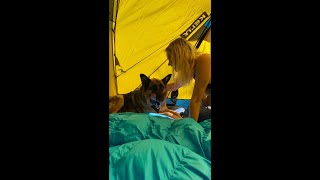 Sharing my Kelty tent with my German shepherd shorts dogs motorcycle [upl. by Yonatan929]