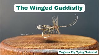 Winged Caddis  Instructional Video [upl. by Ecydnarb]