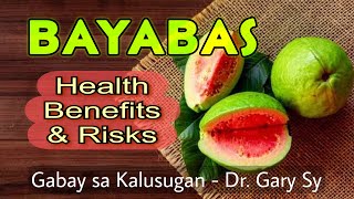 Guava Health Benefits amp Risks  Dr Gary Sy [upl. by Nosnar483]