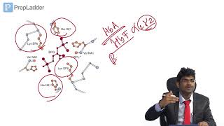 Hemoglobin  MCQ discussion [upl. by Haimrej]