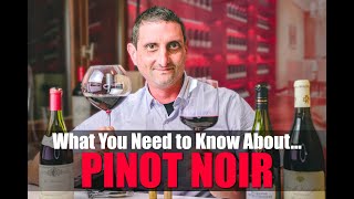 Everything You Need to Know About Pinot Noir [upl. by Brunhild872]