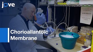 Chorioallantoic Membrane model to discover Metastatic Regulators  Protocol Preview [upl. by Adnole259]