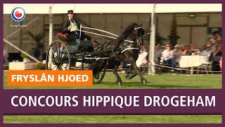 REPO concours hippique Drogeham [upl. by Ahter]