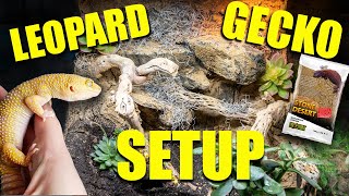 How to setup a NATURALISTIC leopard gecko tank  GIVEAWAY [upl. by Nerissa969]