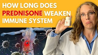 How Long Does Prednisone Weaken The Immune System [upl. by Ranique]