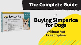 How to buy Simparica for Dogs Without Vet Prescription The Complete Answer for this Big Question [upl. by Niessuh175]