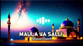 Maula Ya Salli Wa Sallim  Heartfelt amp SoulStirring Rendition [upl. by Mylan]