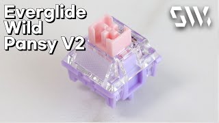 Everglide Wild Pansy V2 Typing Sound [upl. by Neiht]