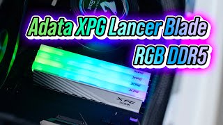 Trên tay Adata XPG Lancer Blade RGB DDR5 Một kit RAM phục vụ cho cả hai nền tảng Intel và AMD [upl. by Adnyl]