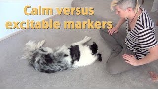 Create calm markers A tip from my dog training seminar [upl. by Marius]