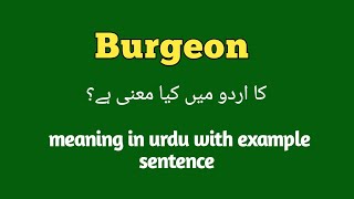 Burgeon meaning in Urdu  English  Hindi  Burgeon with sentence example How to pronounce burgeon [upl. by Yemar]