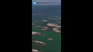 Unique water Yardang landform in Chinas Qinghai [upl. by Danny]