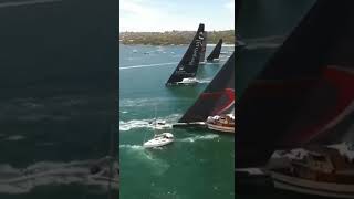 Enormous Sail Boat Carves Through Smaller Boats To Avoid Crash Awesome Driving boat [upl. by Aimar]