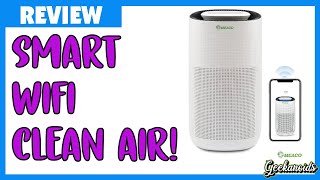 MeacoClean CAHEPA 76x5 WiFi Air Purifier Review [upl. by Uticas561]