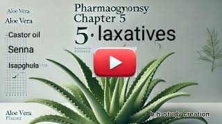 pharmacognosy chapter 5 laxatives All the details  aloe  castor oil Isapghula and Senna 🥰 [upl. by Woolley]