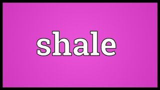 Shale Meaning [upl. by Aleicarg]