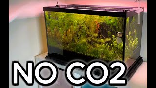 How To Grow Plants NO CO2 [upl. by Naashom]