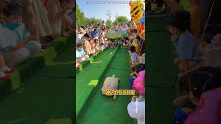 Unique Rabbit and Tortoise Race [upl. by Anabella]