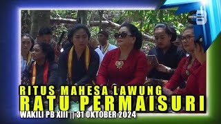 RATU PERMAISURI WAKILI PB XIII DALAM SEBUAH RITUS MAHESA LAWUNG [upl. by Marva625]