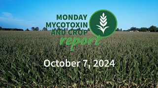 Monday Mycotoxin and Crop Report for October 7 2024 [upl. by Luamaj710]