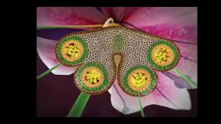 reproduction in flowering plants class 12 in 3D animation complete chapter in one short [upl. by Werner77]