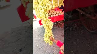 🍇🍇शामली अंगुर खाताना🍇🍇  funny video angoor shamali [upl. by Tallbott783]