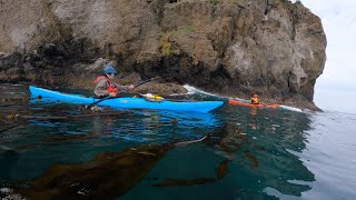 October 5th FreshWater Bay PampH Leo [upl. by Neall]