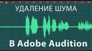 Как правильно убрать шум в Adobe Audition [upl. by Dierolf]